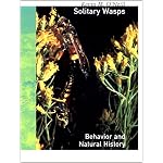 Solitary Wasps: Behavior and Natural History (Cornell Series in Arthropod Biology) book cover