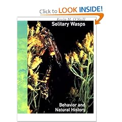 Solitary Wasps: Behavior and Natural History (Cornell Series in Arthropod Biology)