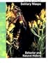 Solitary Wasps: Behavior and Natural History (Cornell Series in Arthropod Biology)