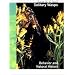 Solitary Wasps: Behavior and Natural History (Cornell Series in Arthropod Biology)