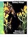 Solitary Wasps: Behavior and Natural History (Cornell Series in Arthropod Biology)