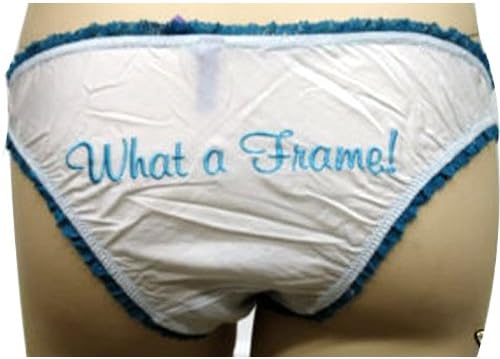 Tra.la.la Novelty Panty What a Frame Blue Teal