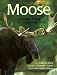 Moose: Behavior, Ecology, Conservation