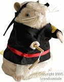 Black Singing and Dancing Kung Fu Karate Hamster