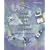 Drugs, Society, and Human Behavior with PowerWeb and HealthQuest CD-ROM