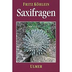 Saxifragen und andere Steinbrechgew�chse