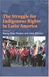 The Struggle For Indigenous Rights In Latin America
