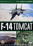 F-14 Tomcat - IMPORT