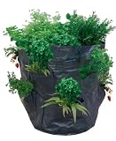 Vertical Strawberry Planter