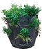 Vertical Strawberry Planter