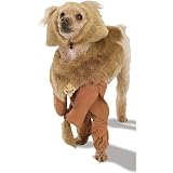 Cowardly Lion Dog Costume