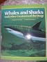 Whales and Sharks Ls