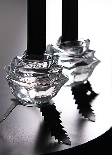 Kosta Boda Still Life 3 3/4