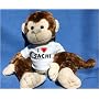 Plush Monkey (Spunky Monkey) toy with I Love Sachi