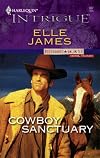 Cowboy Sanctuary (Larger Print Intrigue)
