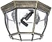 Trans Globe Lighting 4907 BG Outdoor Angelus 6.5" Flushmount Lantern, Black Gold