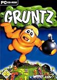 Eigenschaften CDV Software Entertainment AG  / Gruntz