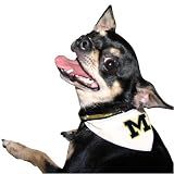 Michigan Wolverines Nylon Pet Collar Bandana