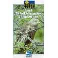 Barcud: The Red Kite Success Story / Wings Over Wales [1991]