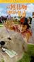 Million Dollar Kid [VHS]