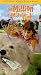 Search : Million Dollar Kid (1999)