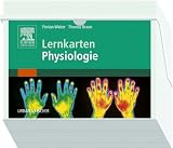 Lernkarten Physiologie