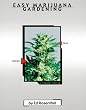 Easy Marijuana Gardening