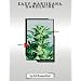Easy Marijuana Gardening
