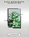 Easy Marijuana Gardening