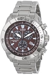 croton stainless steel sport