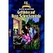 Gefl�ster auf Burg Schreckenstein: Band 27: BD 27