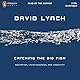 Catching the Big Fish: Meditation, Consciousness, and Creativity