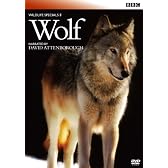 BBC ワイルドライフ・スペシャルII オオカミ [DVD]