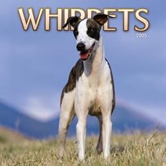 Whippets Wall