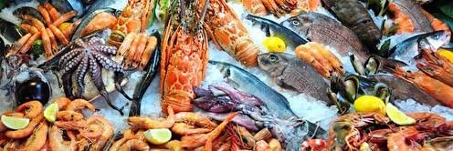 All Fresh Seafood Gift Certificate ($50)