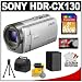 Sony Handycam HDR-CX130 1080p HD Video Camera Camcorder (Silver) with 16GB Card + Battery + Case + Accessory Kit