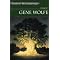 Fantasy Masterworks Series, 26-