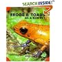 Frogs and Toads as a New Pet (Guide to Owning A...)