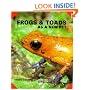 Frogs and Toads as a New Pet (Guide to Owning A...)