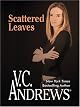 Scattered Leaves(Early Spring)