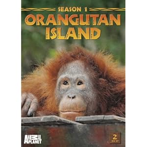 Orangutan Island: Season 1 movie