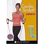 NEW Cardio Sculpt! Express - Debbie Siebers Slim in 6 Series DVD