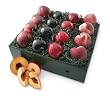 Fruits of the Season