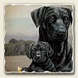 Tumbled tile trivet ~ Two Black Labs ~ code 875