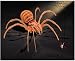 Black Widow Spider 3D Woodcraft Construction Kit