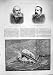1887 のモル Kelsall の穀物の汽船の船のバッファローエリー湖 1887 のモル Kelsall の穀物の汽船の船のバッファローエリー湖