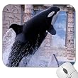 Mousepad - 9.25" x 7.75" Designer Mouse Pads - Seaworld (MPSW-011)