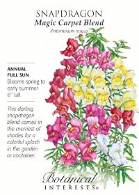 Snapdragon Seeds Magic Carpet 550 Seeds