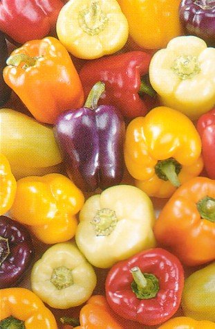 Sweet Bell Pepper 50 Seeds - Red, Gold, Purple, Orange, White