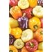 Sweet Bell Pepper 50 Seeds - Red, Gold, Purple, Orange, White